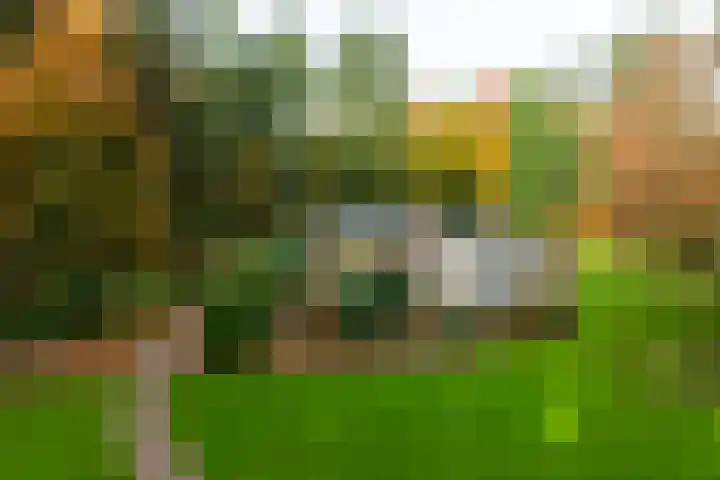 Beukenlaan 5 Doornspijk thumbnail 48