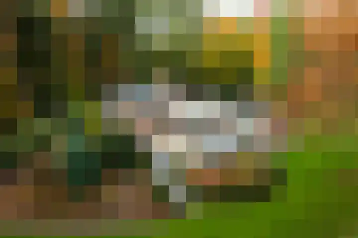 Beukenlaan 5 Doornspijk thumbnail 49