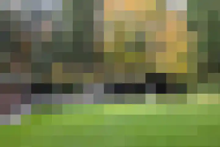 Beukenlaan 5 Doornspijk thumbnail 51