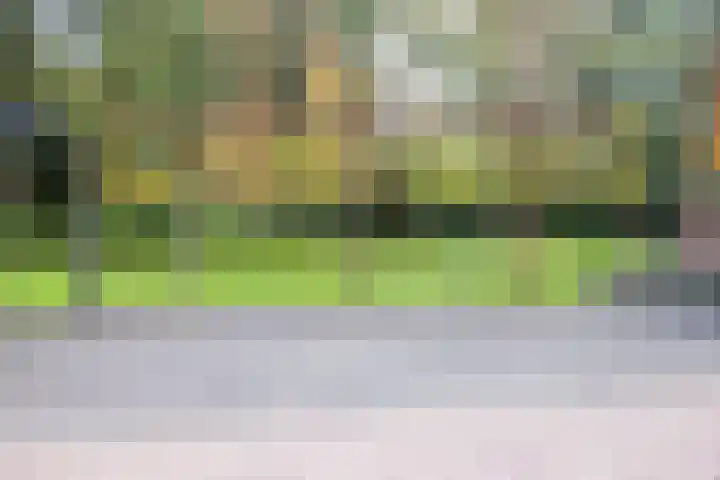 Beukenlaan 5 Doornspijk thumbnail 52