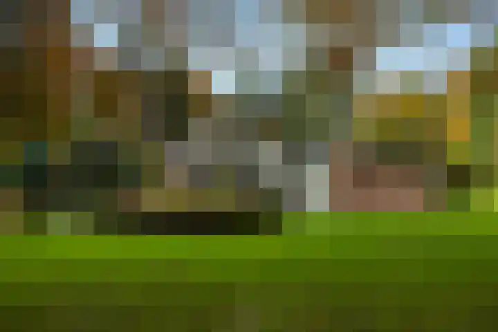 Beukenlaan 5 Doornspijk thumbnail 55