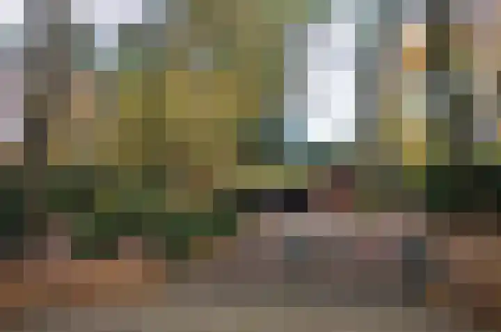 Beukenlaan 5 Doornspijk thumbnail 58