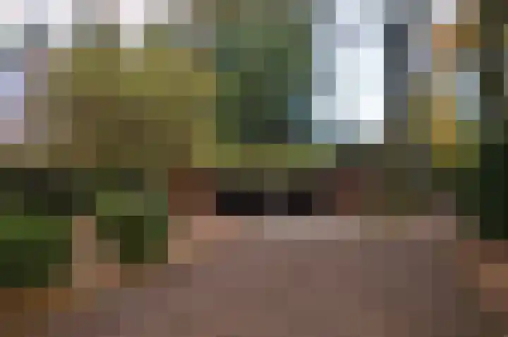Beukenlaan 5 Doornspijk thumbnail 59