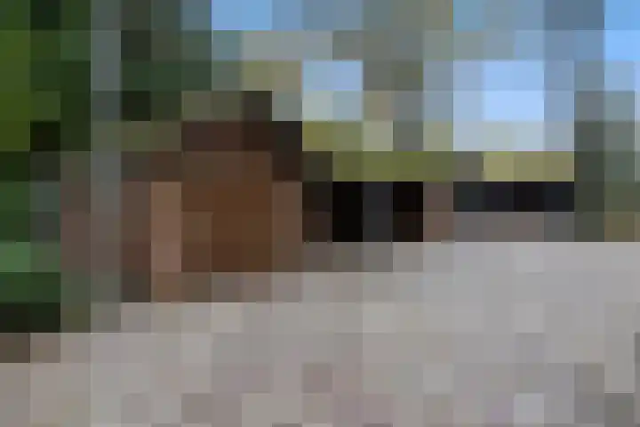 Beukenlaan 5 Doornspijk thumbnail 6