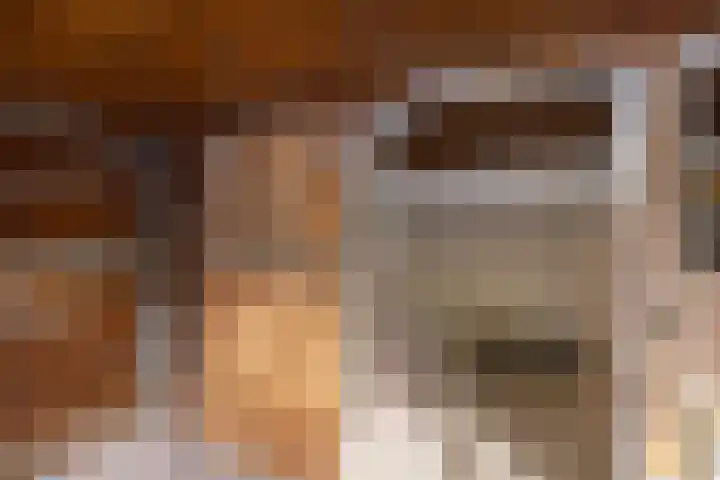 Beukenlaan 5 Doornspijk thumbnail 61