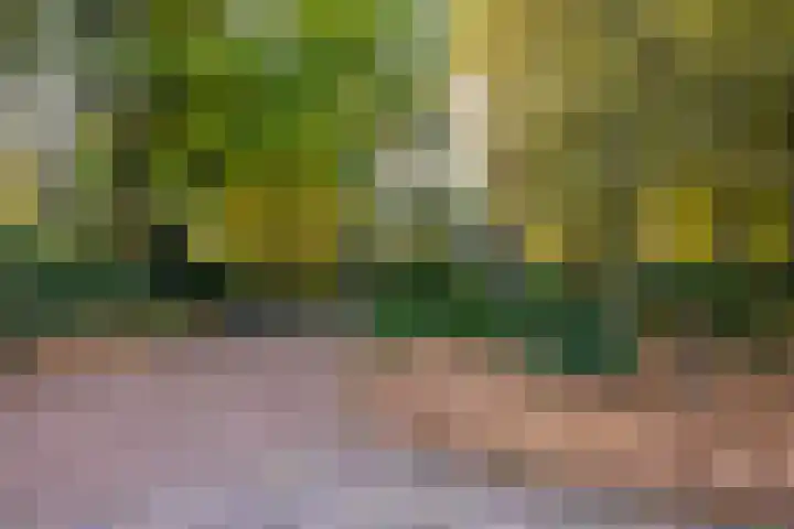 Beukenlaan 5 Doornspijk thumbnail 62