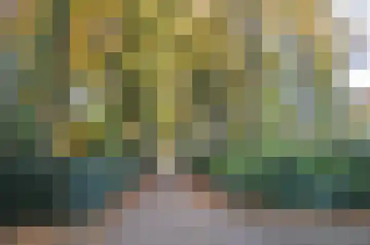 Beukenlaan 5 Doornspijk thumbnail 63