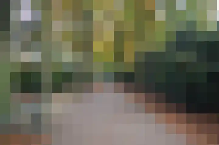 Beukenlaan 5 Doornspijk thumbnail 64