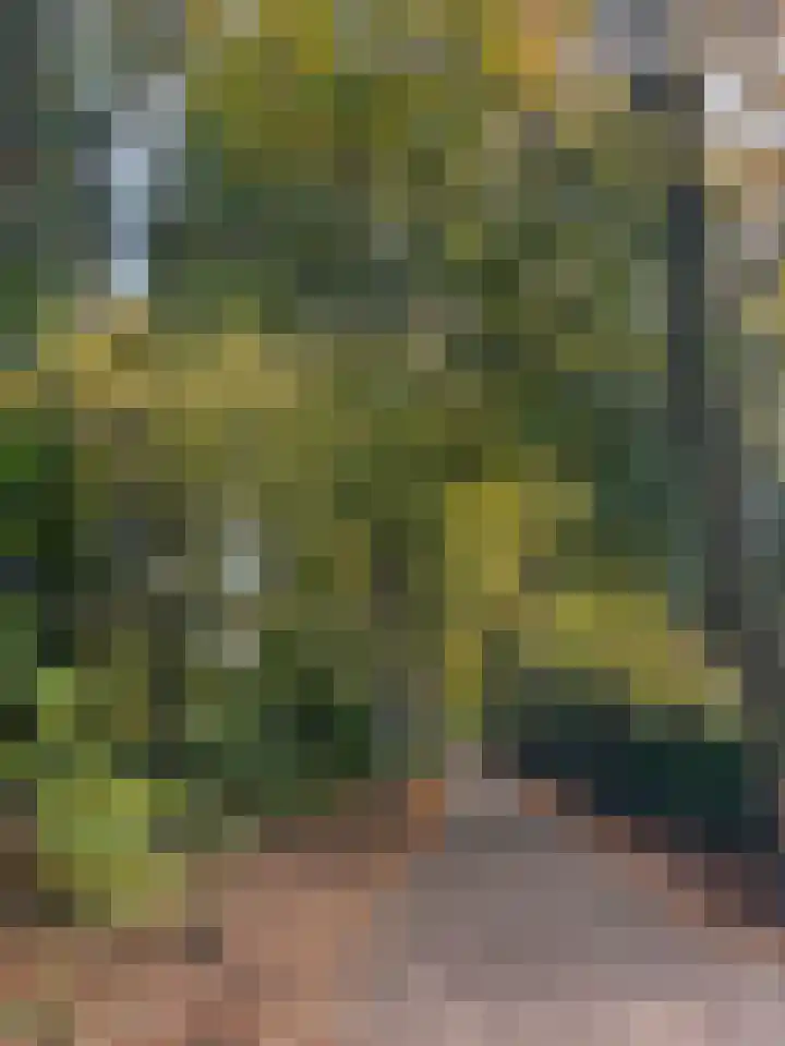 Beukenlaan 5 Doornspijk thumbnail 65