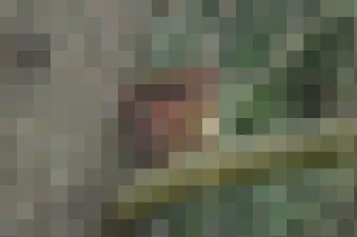 Beukenlaan 5 Doornspijk thumbnail 66