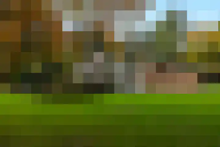 Beukenlaan 5 Doornspijk thumbnail 67