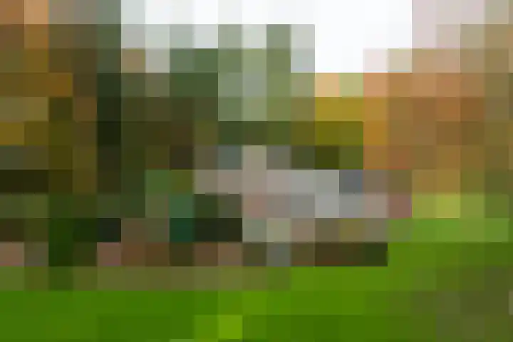 Beukenlaan 5 Doornspijk thumbnail 68