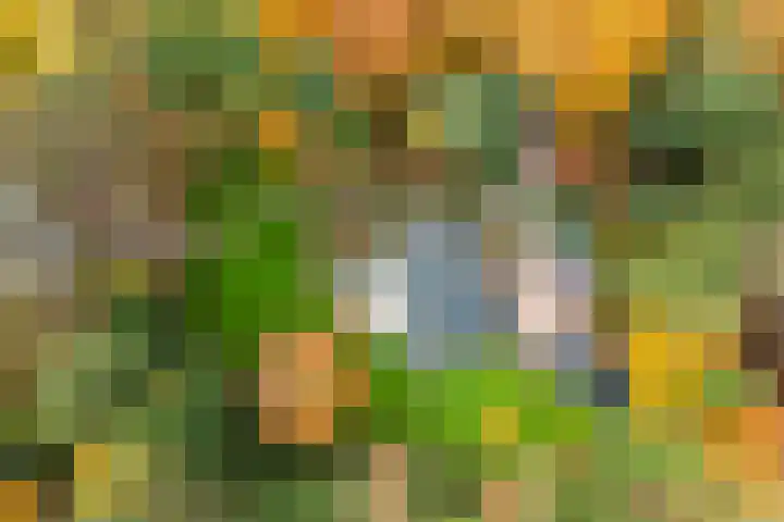 Beukenlaan 5 Doornspijk thumbnail 69