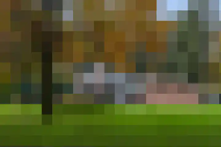 Beukenlaan 5 Doornspijk thumbnail 7