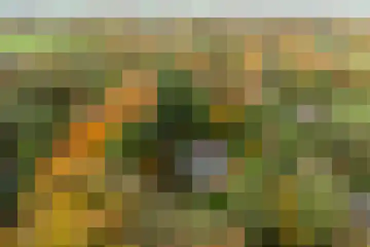 Beukenlaan 5 Doornspijk thumbnail 70