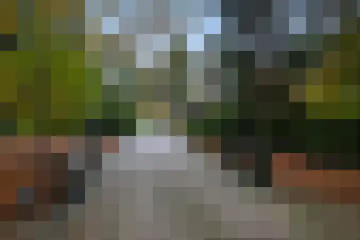 Beukenlaan 5 Doornspijk thumbnail 8