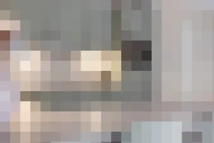 Beukenlaan 5 Emmer-Compascuum thumbnail 13