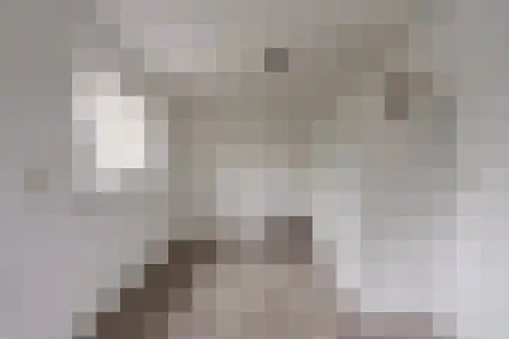Beukenlaan 5 Emmer-Compascuum thumbnail 15