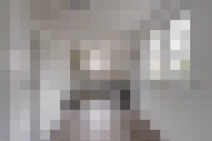 Beukenlaan 5 Emmer-Compascuum thumbnail 16
