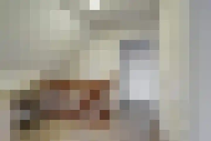 Beukenlaan 5 Emmer-Compascuum thumbnail 19