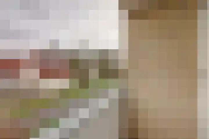 Beukenlaan 5 Emmer-Compascuum thumbnail 25