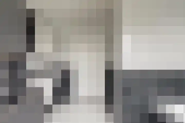 Beukenlaan 5 Emmer-Compascuum thumbnail 32
