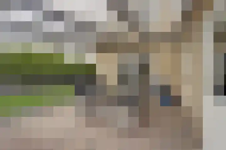 Beukenlaan 5 Emmer-Compascuum thumbnail 34