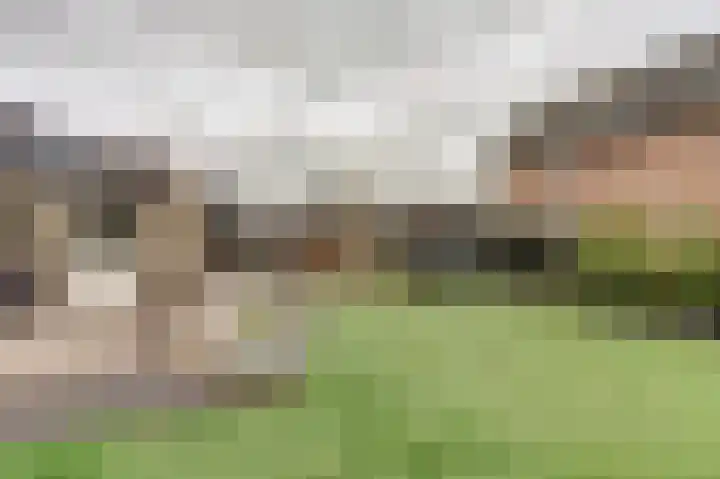 Beukenlaan 5 Emmer-Compascuum thumbnail 35