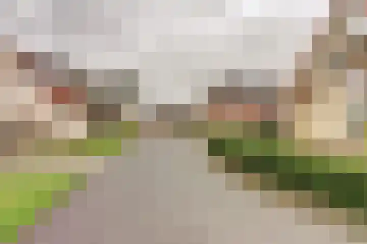 Beukenlaan 5 Emmer-Compascuum thumbnail 38