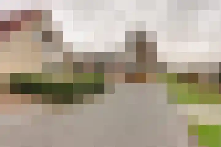 Beukenlaan 5 Emmer-Compascuum thumbnail 39