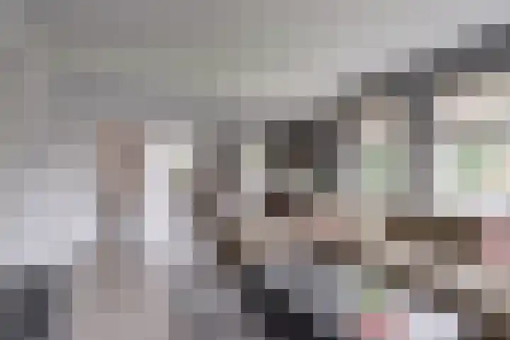 Beukenlaan 5 Emmer-Compascuum thumbnail 4