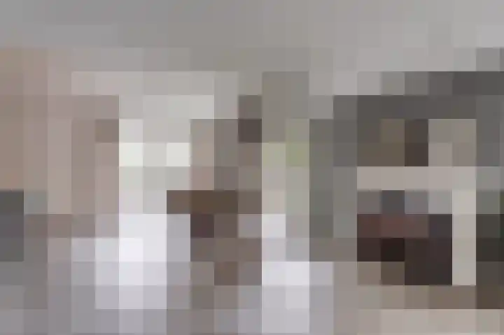 Beukenlaan 5 Emmer-Compascuum thumbnail 7