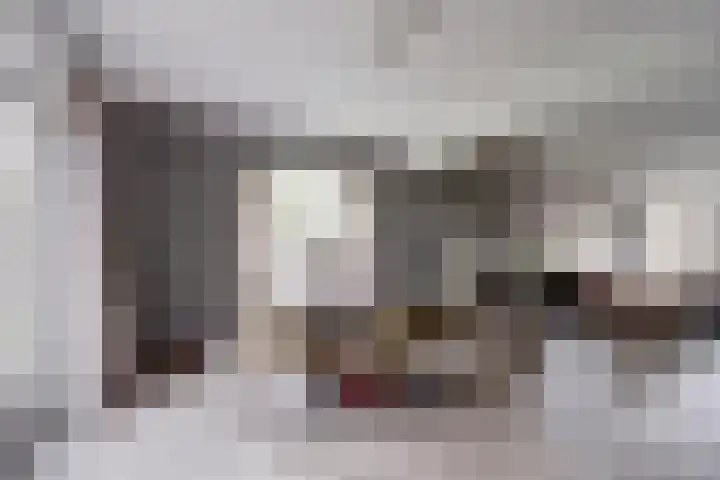 Beukenlaan 5 Emmer-Compascuum thumbnail 8