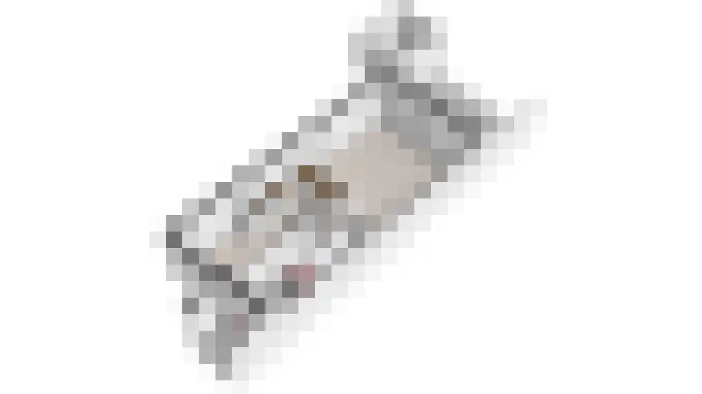 Beukenlaan 5 Sint Odiliënberg thumbnail 43