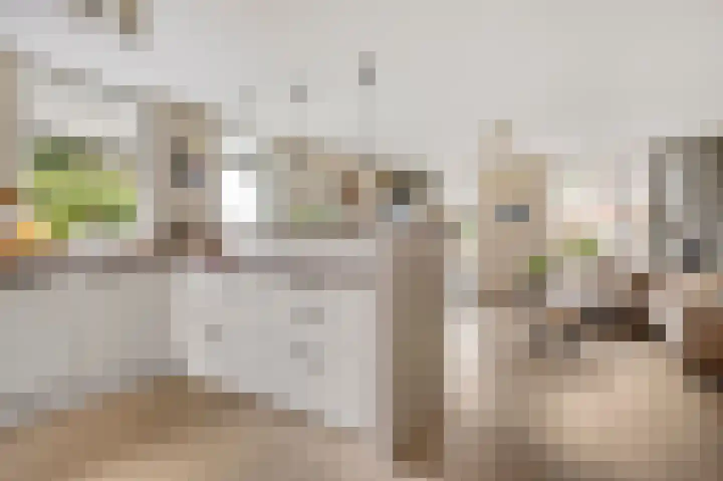 Beukenlaan 5 Sint Odiliënberg thumbnail 6