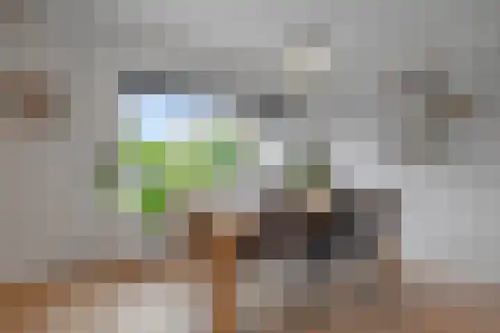Beukenlaan 5 Wieringerwaard thumbnail 5