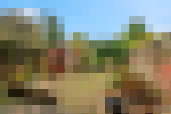 Beukenlaan 50 Rhenen thumbnail 28