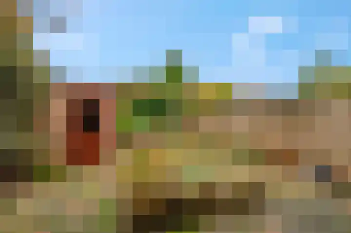 Beukenlaan 50 Rhenen thumbnail 29