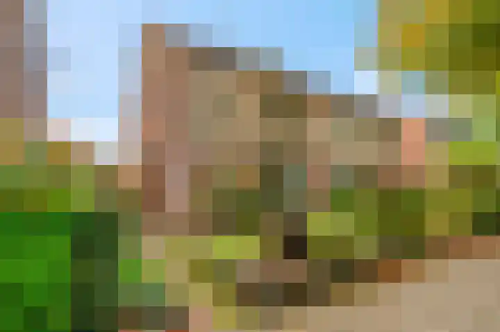 Beukenlaan 50 Rhenen thumbnail 31