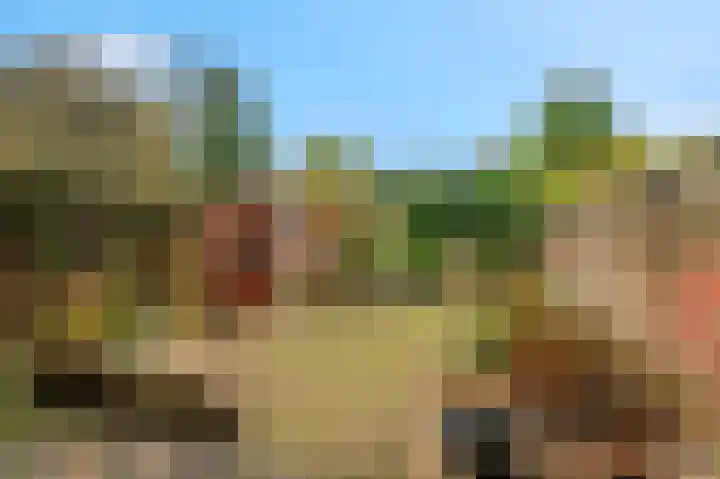 Beukenlaan 50 Rhenen thumbnail 4