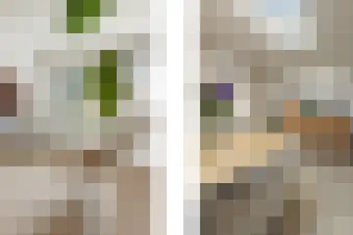 Beukenlaan 53 Bunde thumbnail 10