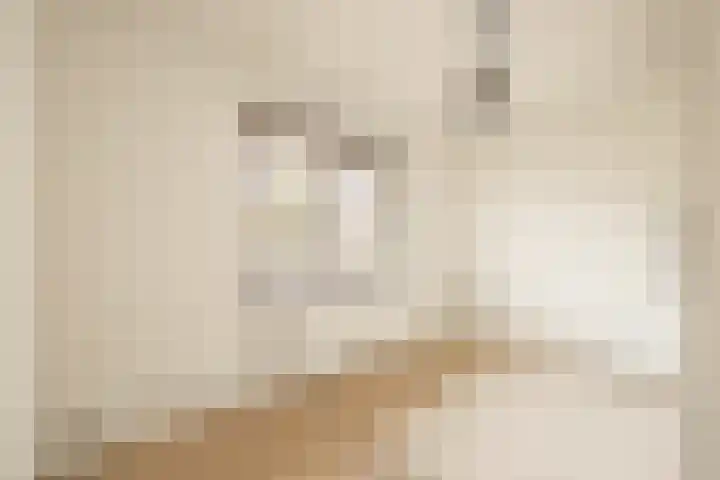Beukenlaan 53 Bunde thumbnail 15