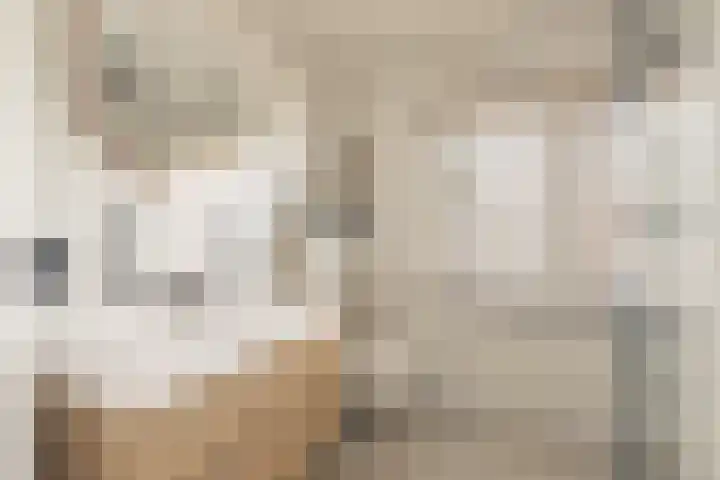 Beukenlaan 53 Bunde thumbnail 18