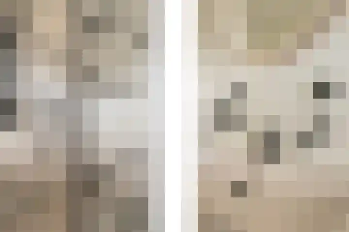 Beukenlaan 53 Bunde thumbnail 20