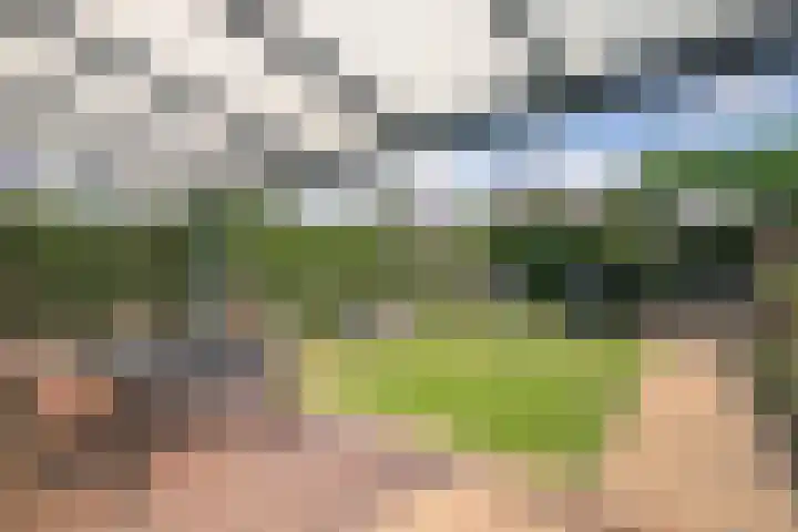 Beukenlaan 53 Bunde thumbnail 21