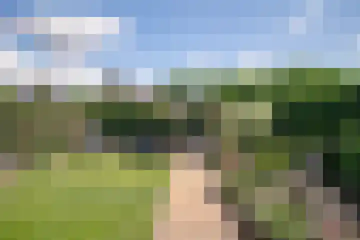 Beukenlaan 53 Bunde thumbnail 22