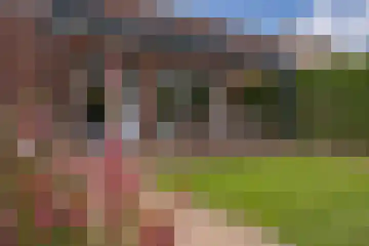 Beukenlaan 53 Bunde thumbnail 25