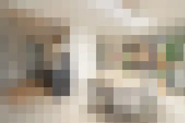 Beukenlaan 53 Bunde thumbnail 9