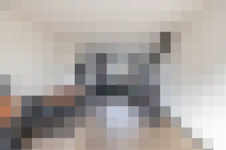 Beukenlaan 54 Spijkenisse thumbnail 12