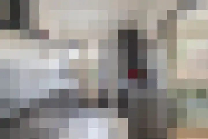 Beukenlaan 54 Spijkenisse thumbnail 15